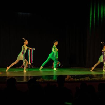 Bodymotion 24 12