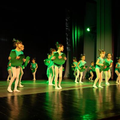 Bodymotion 24 48