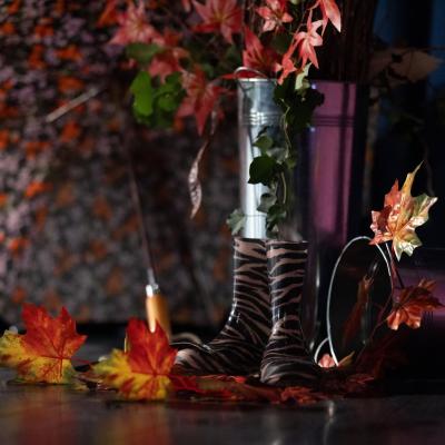 Dangrada24 6